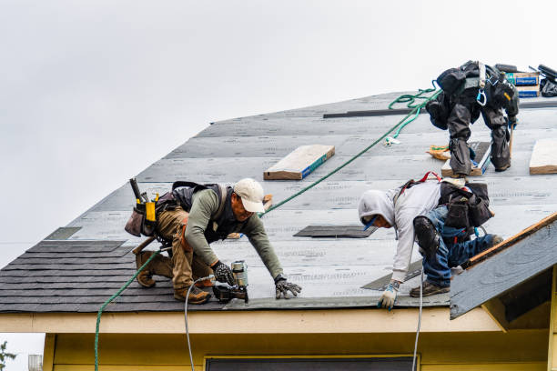 Professional Roofing technician working in Groveton, TX